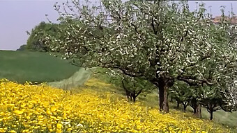 دختران مدرسه ای 1977: تجربه کامل