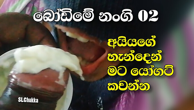 Vídeo Hd De Uma Garota Do Sri Lanka Comendo Iogurte Com Pênis