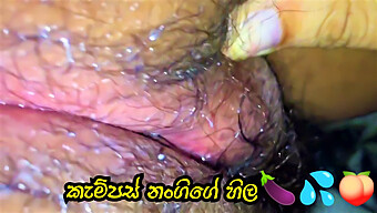 Sri Lankan College Girls Have Fun With Big Clits And Condoms