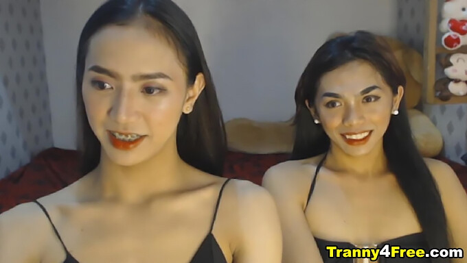 Watch A Stunning Transsexual Give A Mind-Blowing Blowjob