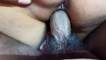 Cumshot Im Bikini: Sonalis Bester Freund Gibt Einen Blowjob